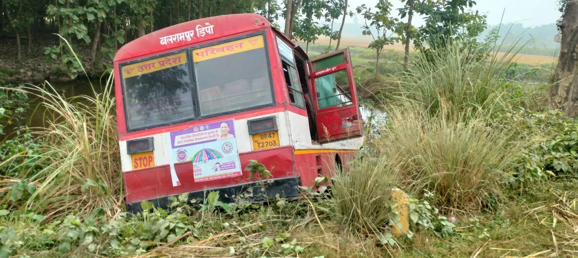 WhatsApp Image 2024-11-02 at 11.49.18_bddc8d7d 