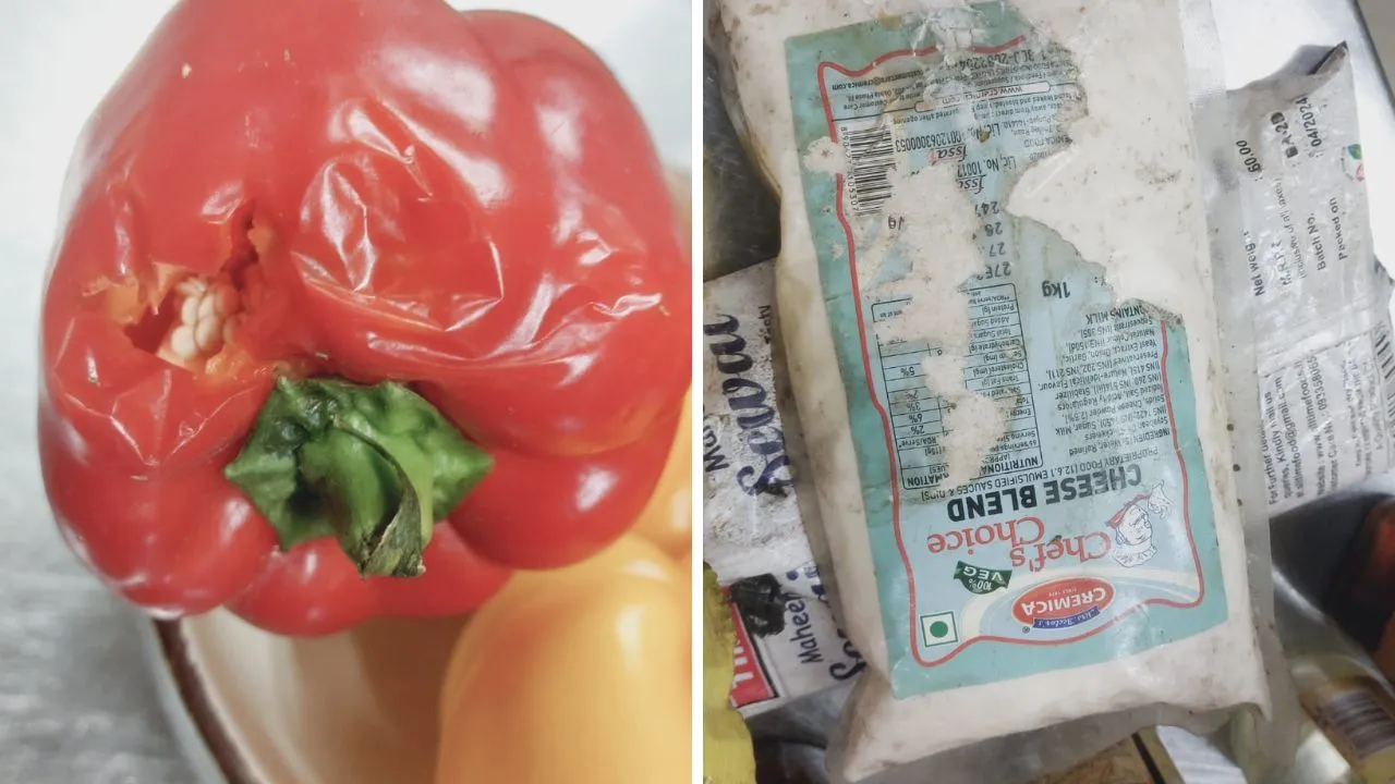 Kanpur: वाइब कैफे में मिलीं सड़ी सब्जियां और एक्सपायर्ड सामग्री, फ्रिज में रखा मिला वेज के साथ नॉनवेज, गंदगी के बीच रखे सामानों पर घूमते मिले चूहे