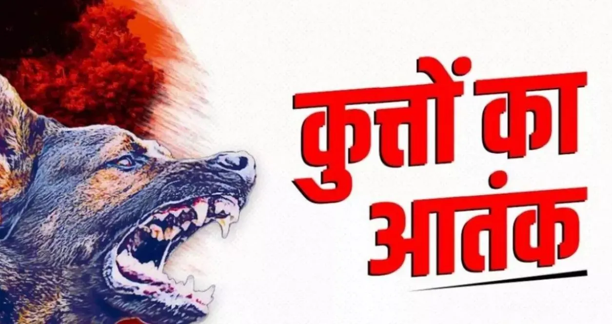 Bareilly: कुत्तों ने दो बच्चों पर किया हमला, एक की हालत गंभीर