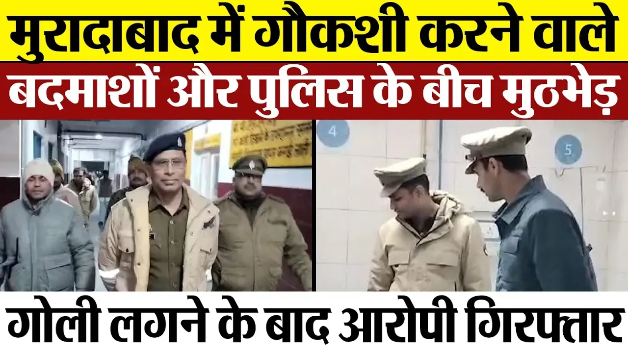 Moradabad News : मुरादाबाद में गौकशी करने वाले बदमाशों और पुलिस के बीच मुठभेड़