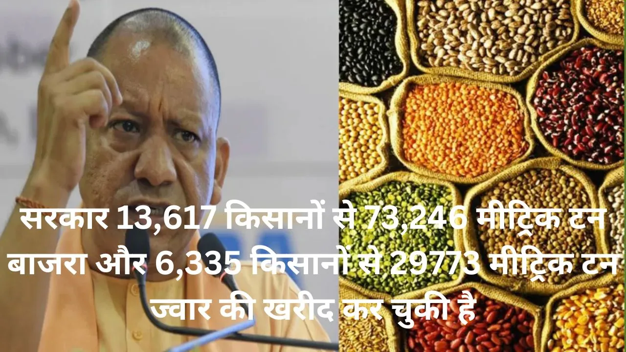 श्रीअन्न से किसान हो रहे मालामाल, 29,773 मीट्रिक टन ज्वार, 73,246 मीट्रिक टन बाजरा की हो चुकी खरीद 
