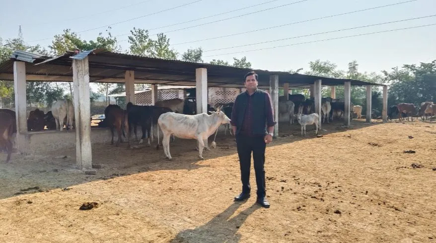 अयोध्या: सर्दी में ठिठुर रहे 71 गौशालाओं में संरक्षित 16 हजार पशु, बचाव के लिए नहीं किए गए कोई इंतजाम 