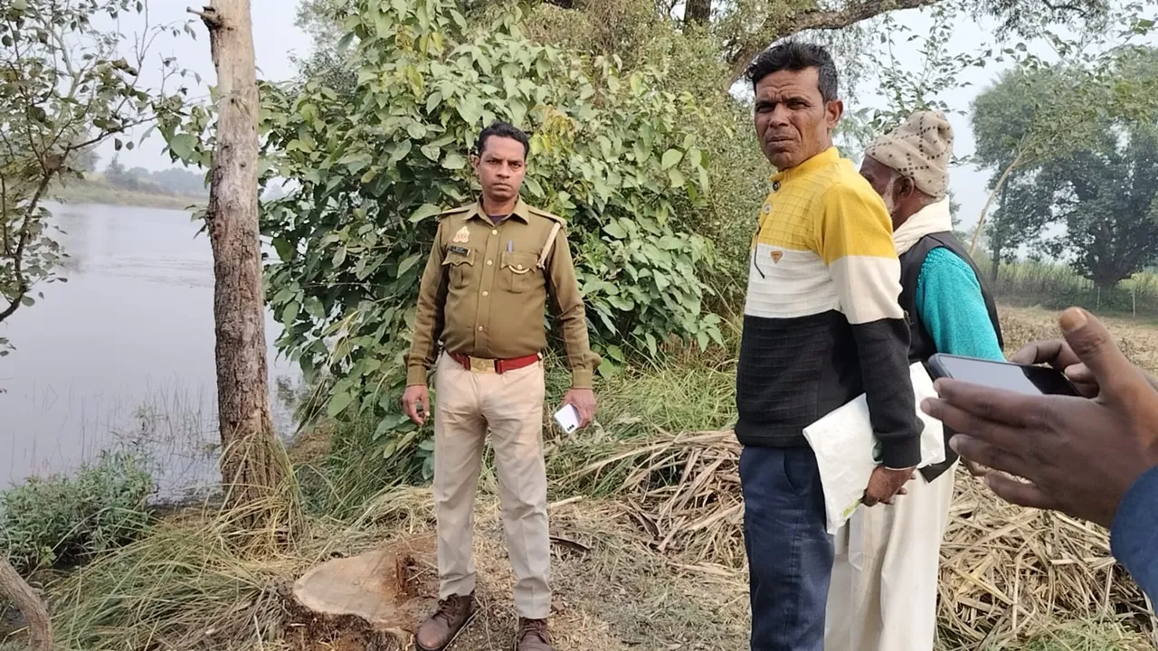 बहराइच: बिना परमिट काट दिए शीशम के 6 पेड़, वन विभाग ने शुरू की जांच 