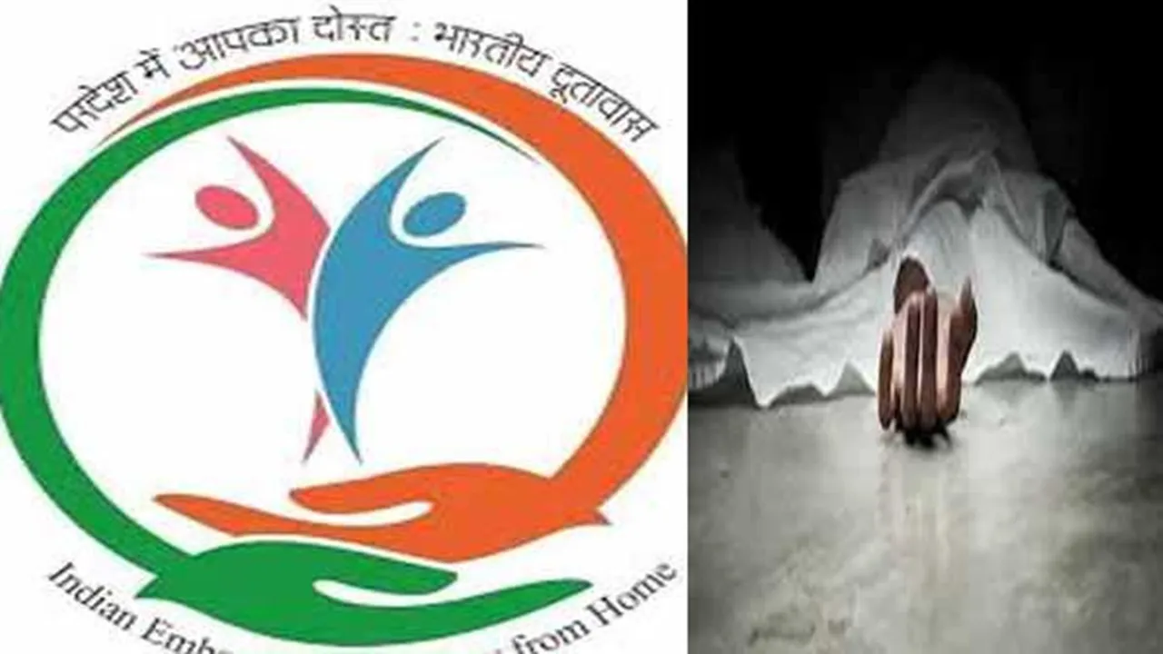 Georgia में 11 भारतीय नागरिकों की दर्दनाक मौत, दूतावास ने जताया दुख, जानें वजह