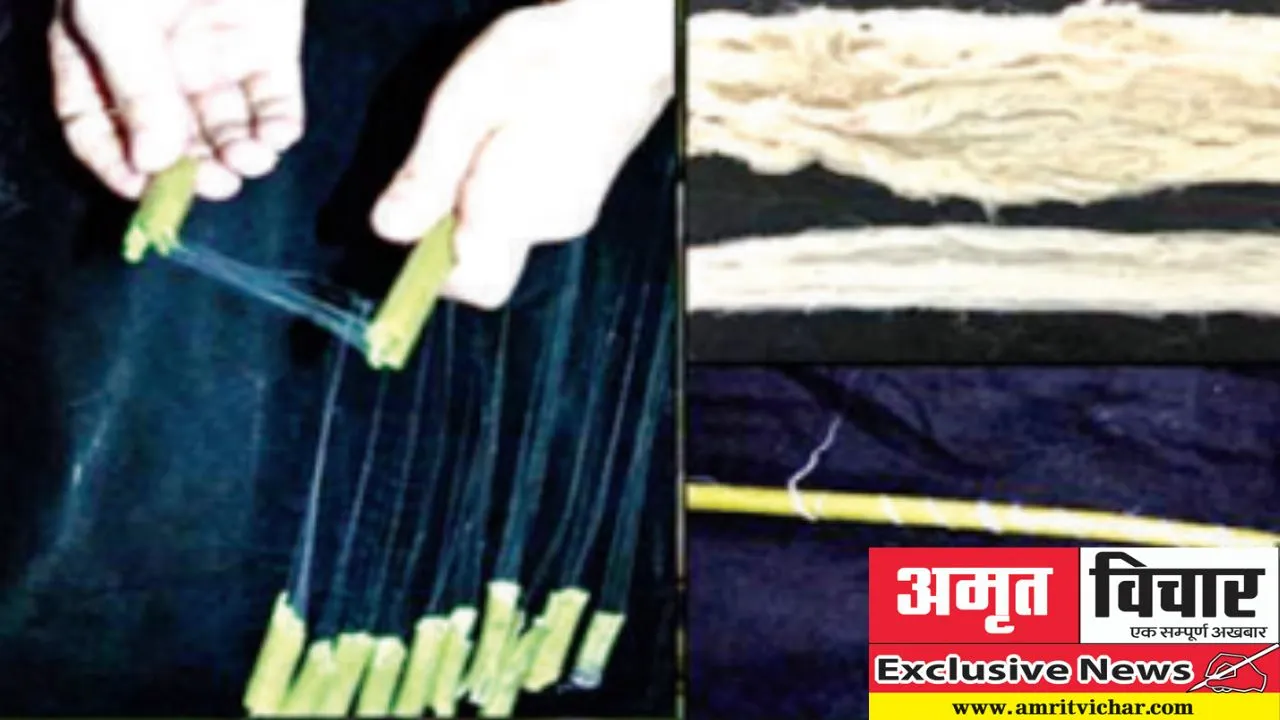Exclusive: कानपुर में सीएसए यूनिवर्सिटी की प्रोफेसर ने बनाया कमल के तने से रेशे निकालने वाला उपकरण, दुबई की कंपनी ने उपकरण खरीदने में दिखाई रुचि
