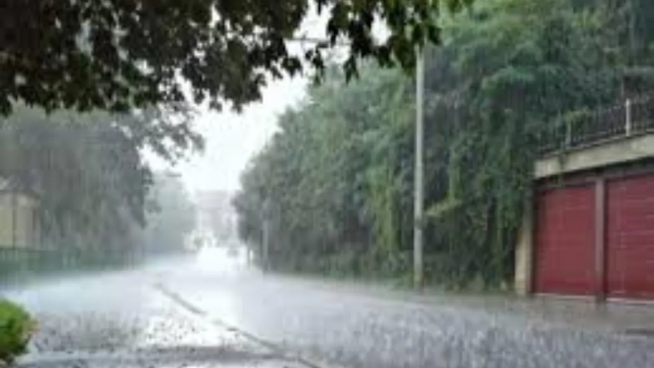 बदला मौसम का रुख, कल से कोहरे के साथ बढ़ेगी ठंड की रफ्तार, बूंदाबांदी के आसार