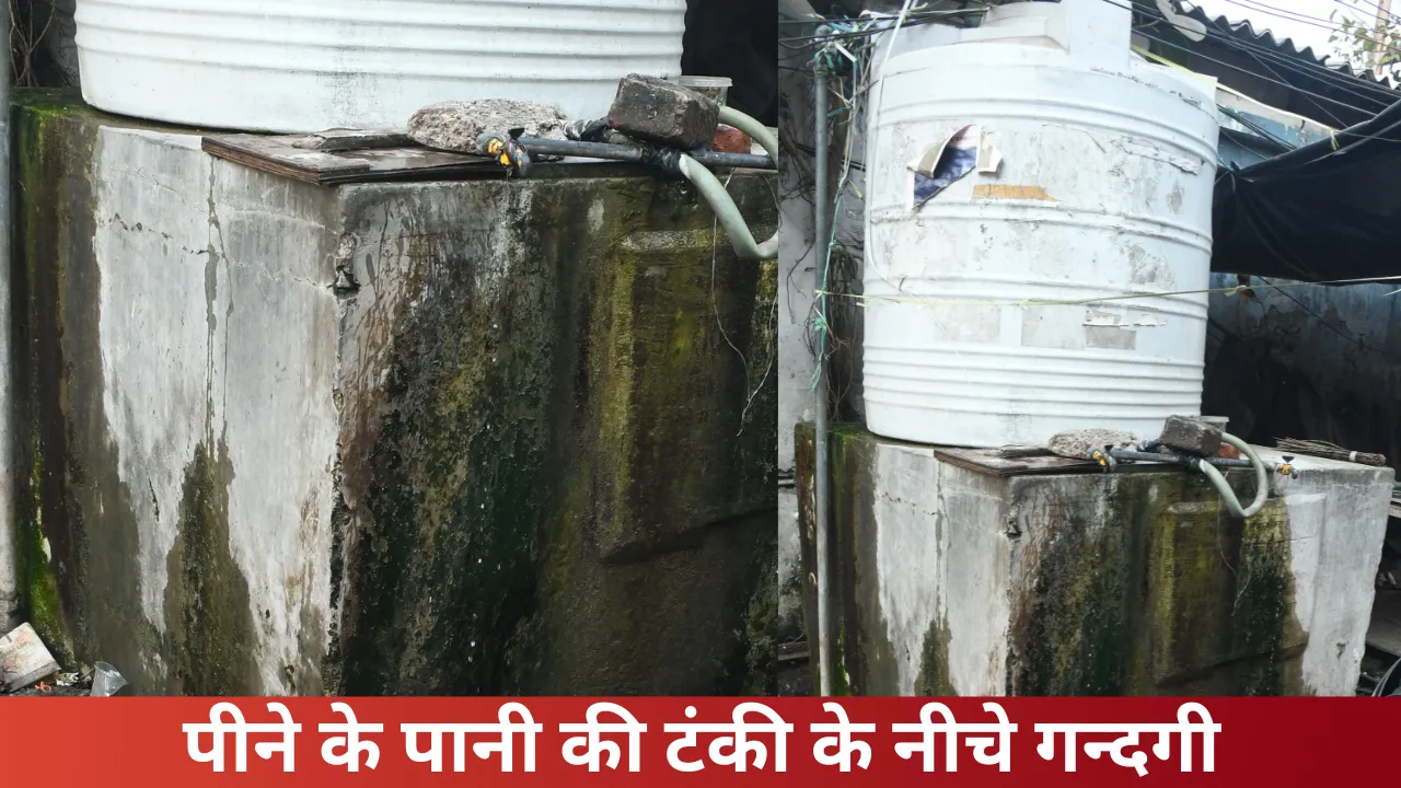 Untitled design - 2024-12-23T111430.783