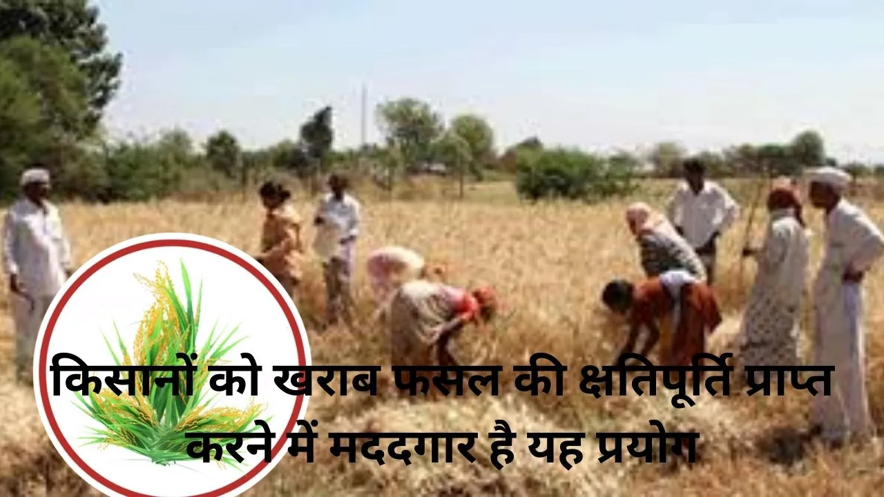 क्रॉप कटिंग से फसलों की उत्पादकता पर सरकार की पैनी नजर, जीसीईएस ऐप से किए जाएंगे 13654 प्रयोग 