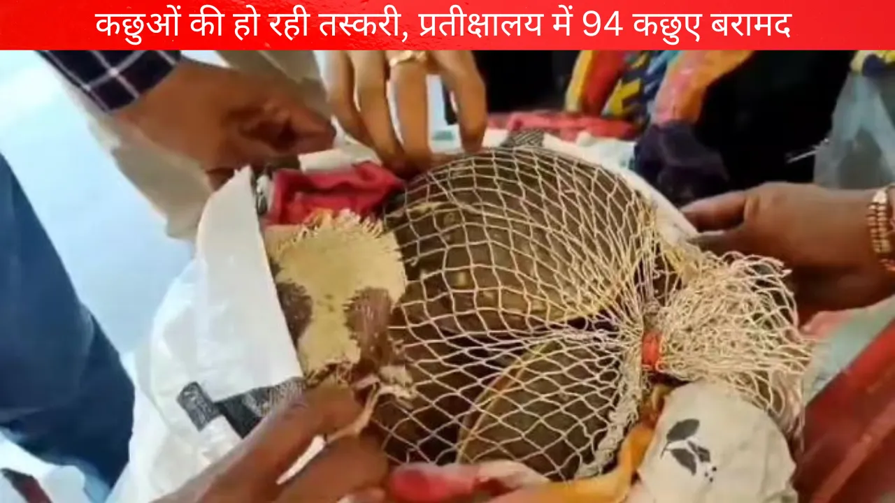 अयोध्याः कैंट स्टेशन के प्रतीक्षालय में बोरी और बैग से 94 कछुआ बरामद 