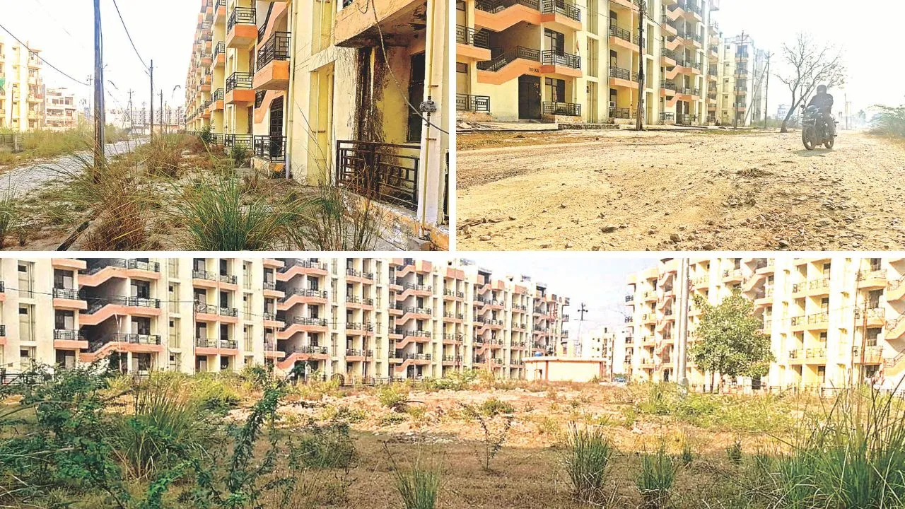 Kanpur: केडीए के शताब्दी नगर के फ्लैटों की दुर्दशा; अजगर घरों में घुस रहे, कोई रहने को तैयार नहीं, पार्क भी बना कूड़ाघर