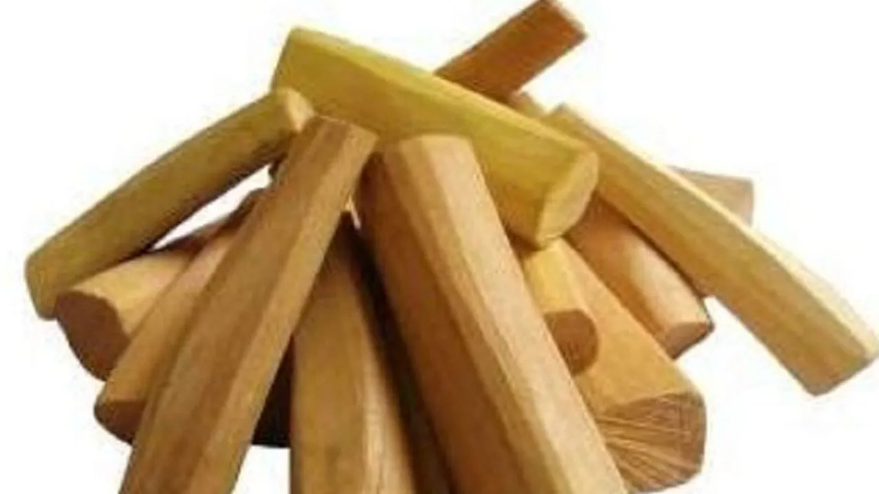 कानपुर में पनकी पुलिस ने पकड़ी 170 किलो चंदन की लकड़ी: ट्रांसपोर्ट नगर की एक लॉजिस्टिक कंपनी के जरिए बाबूपुरवा भेजी जानी थी...