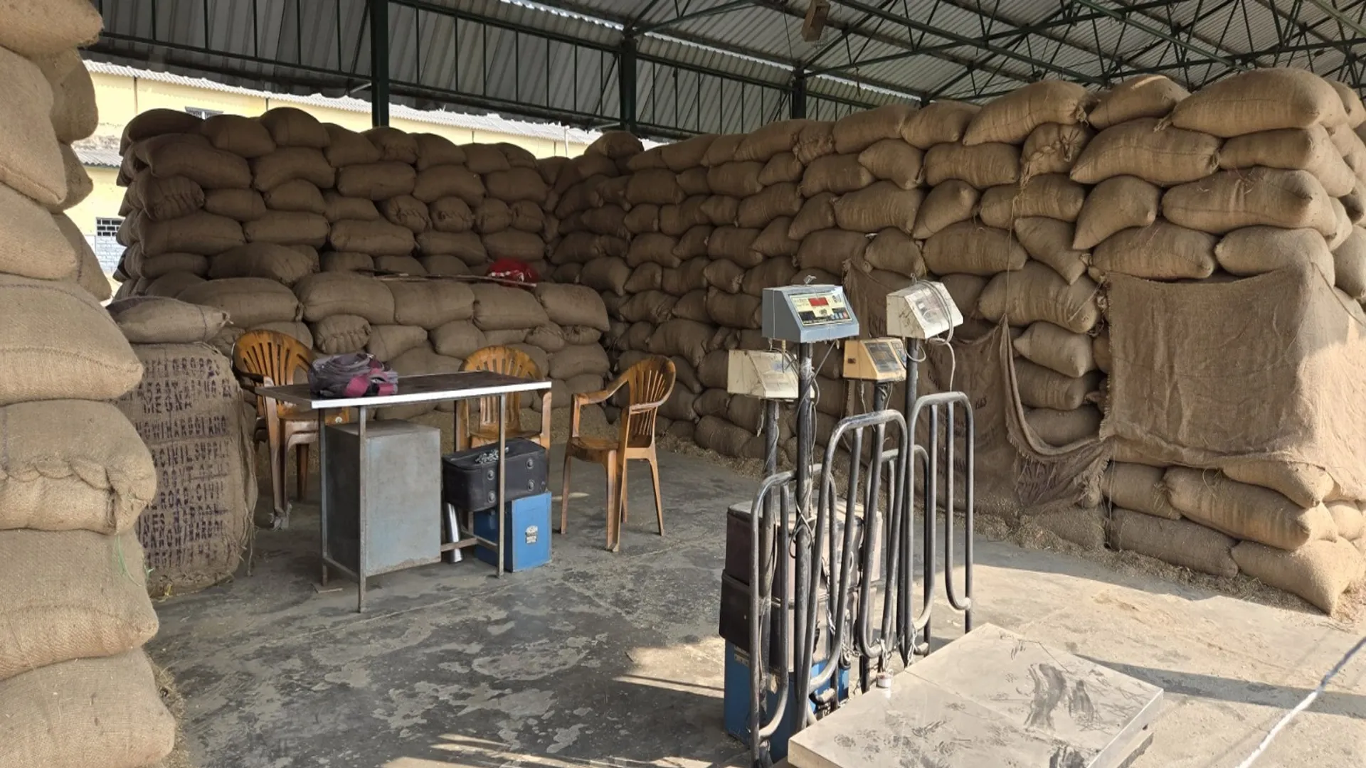 पीलीभीत: नाममात्र बची धान की आवक, फिर भी सात दिन में 34 हजार एमटी से ज्यादा की खरीद 