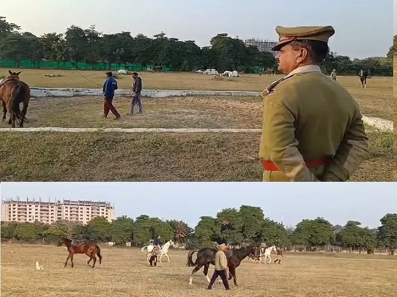 मुरादाबाद : मोंटीना, रिमझिम, चेतक, अग्निवीर...महाकुंभ में सुरक्षा व्यवस्था का हिस्सा बनेंगे 15 'जांबांज' घोड़े, कराया जा रहा कड़ा अभ्यास 