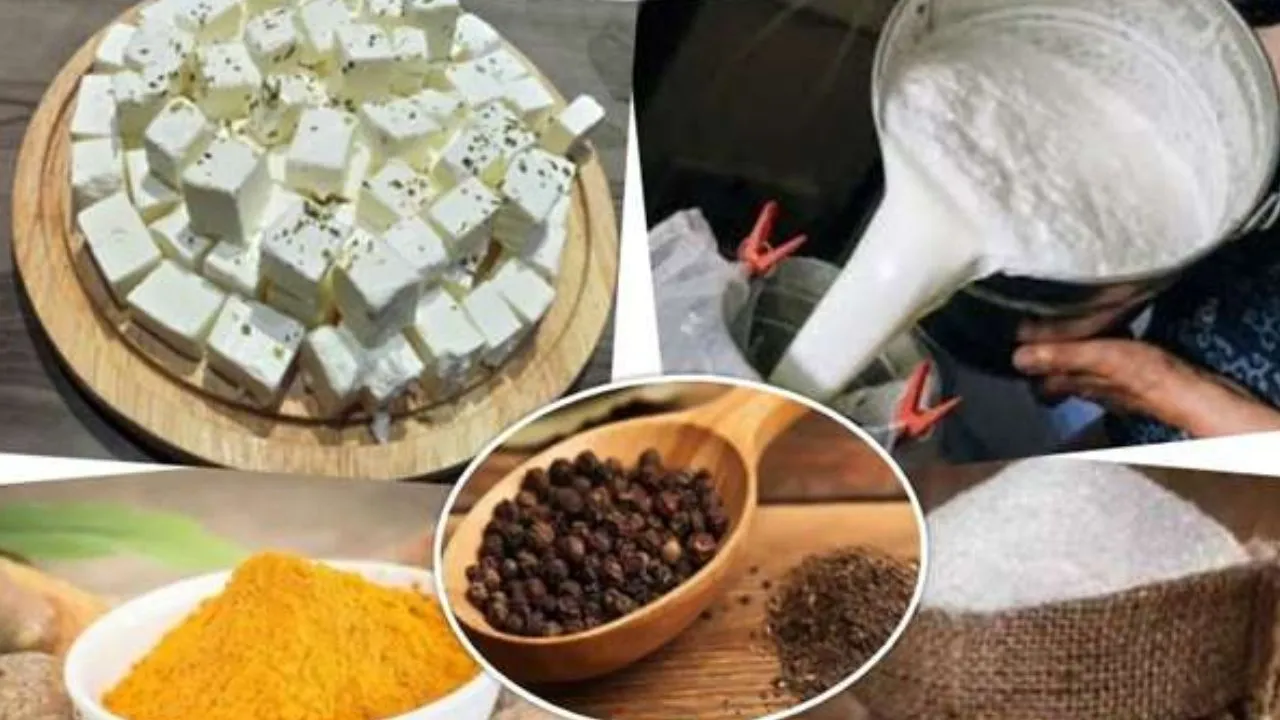 Kanpur: मिलावटखोरी पर सख्ती: दूध, दही, पनीर व आटा के नमूने फेल, बाबा बिरयानी समेत कई कारोबारियों पर लगा लाखों का जुर्माना 