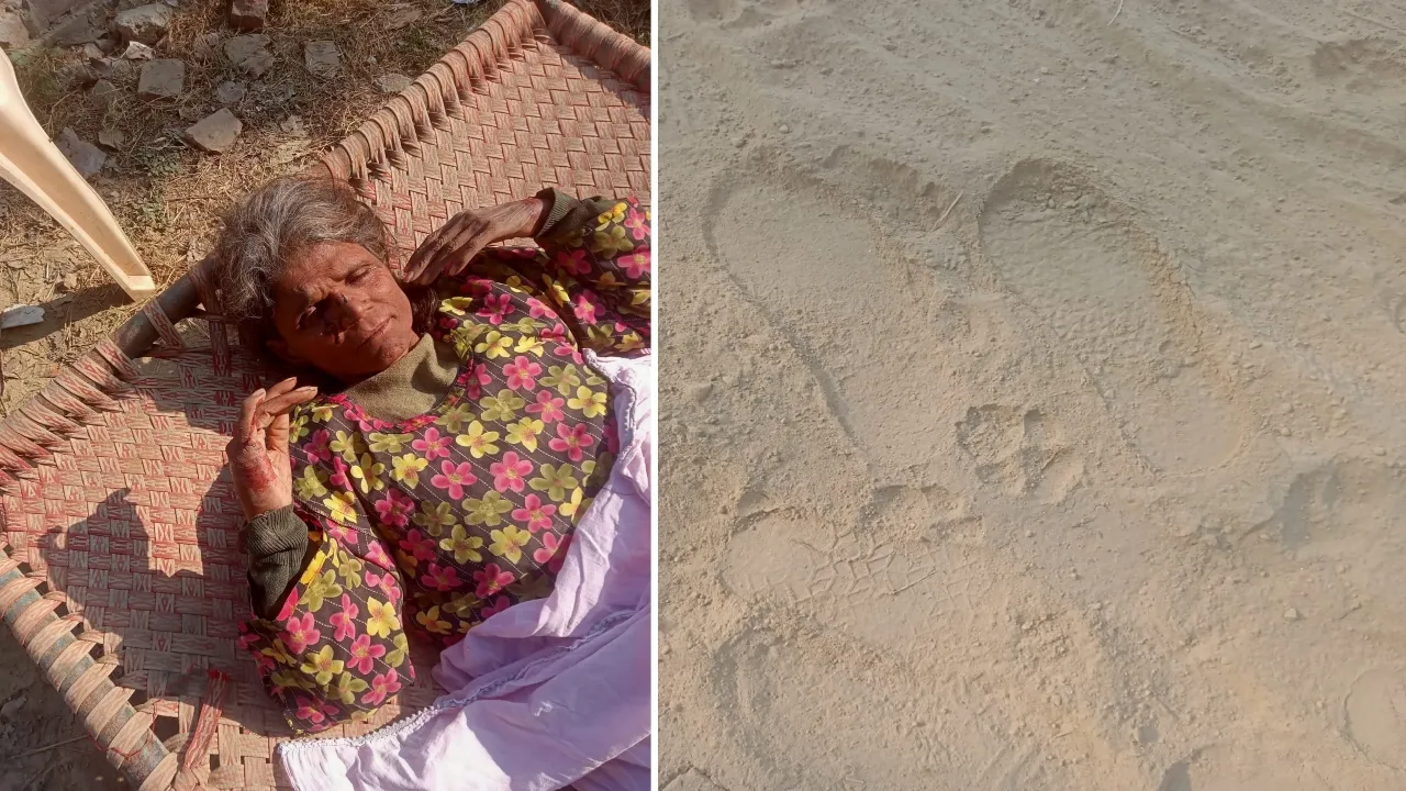 Fear of wildlife : घर के बरामदे में सो रही वृद्धा पर हिंसक जानवर का हमला