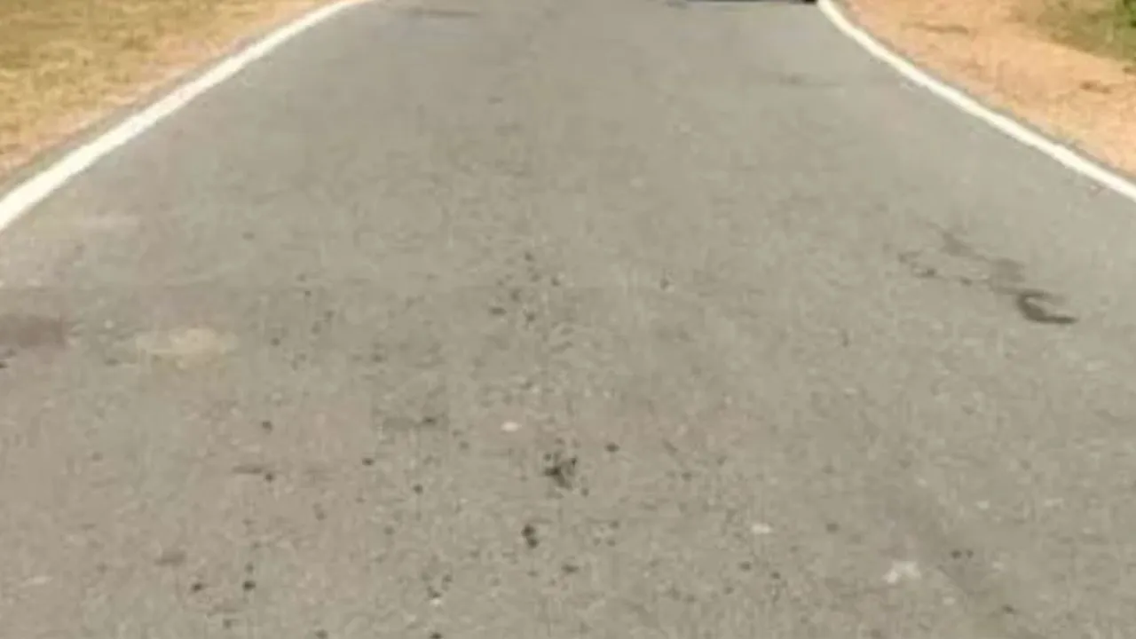 Kanpur: इन 4 संकरी सड़कों का करोड़ों रुपये से होगा चौड़ीकरण...पीडब्ल्यूडी ने शासन को बजट के लिए भेजा एस्टीमेट 