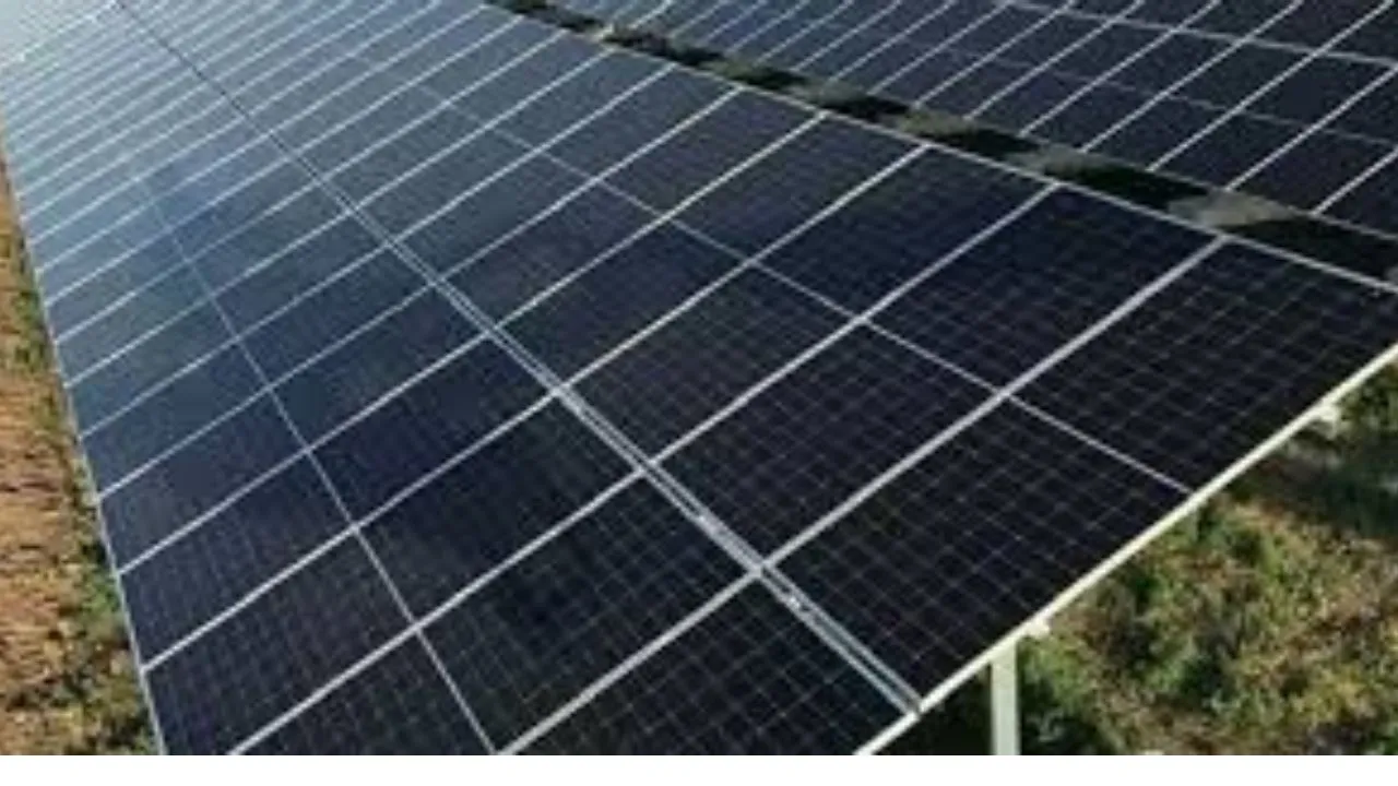 गोरखपुर के चिलुआताल में लगेगा 20 मेगावाट क्षमता का 'फ्लोटिंग सोलर प्‍लांट', मंत्रिमंडल ने दी मंजूरी 