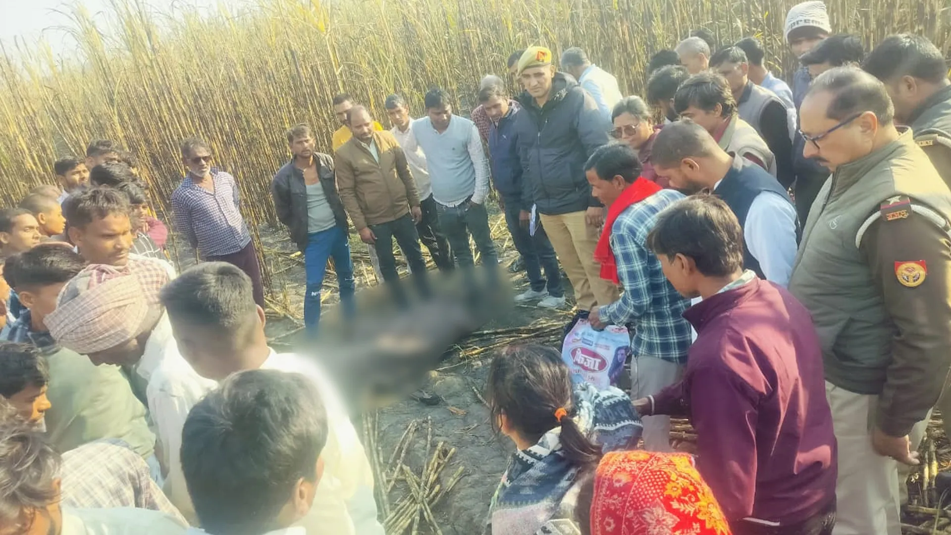 लखीमपुर खीरी: गन्ने में लगी आग बुझाते समय जिंदा जला किसान 