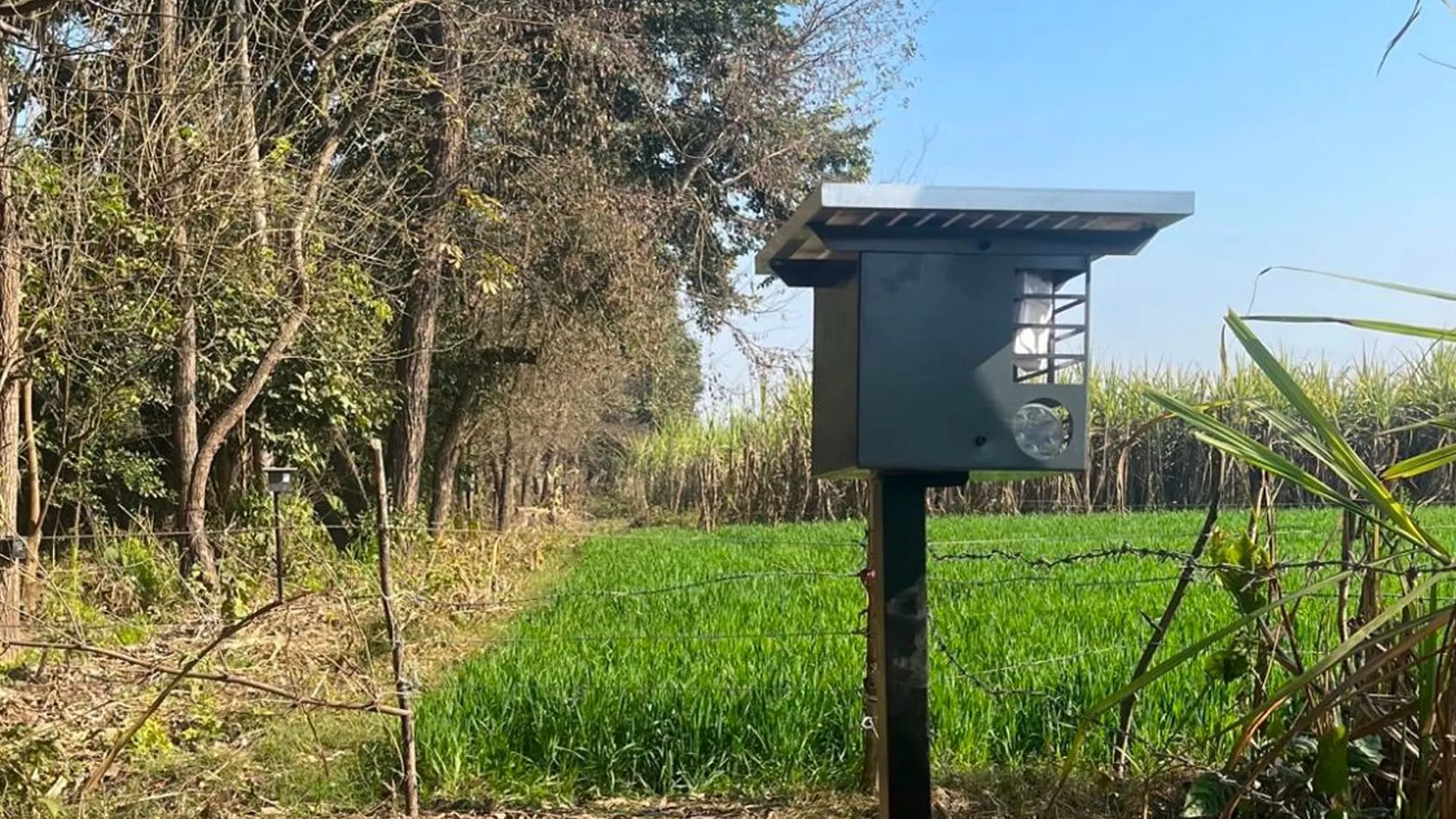 पीलीभीत: वन्यजीव की आसपास हुई मौजूदगी तो बज उठेगा सायरन, लगाई गई एनाइडर डिवाइस