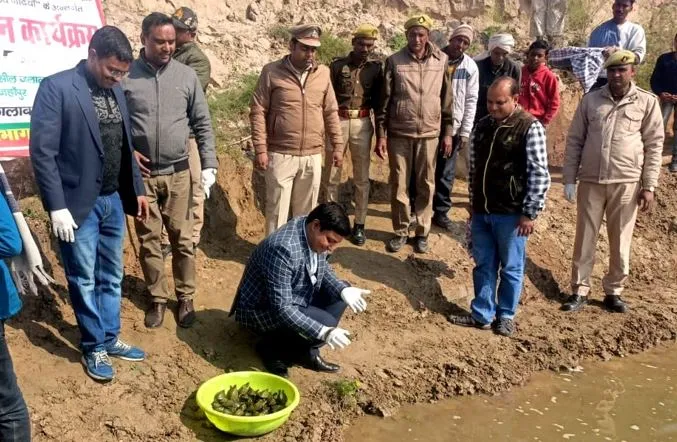 शाहजहांपुर: रामगंगा नदी में 212 कछुए छोड़े, संरक्षण का लिया संकल्प