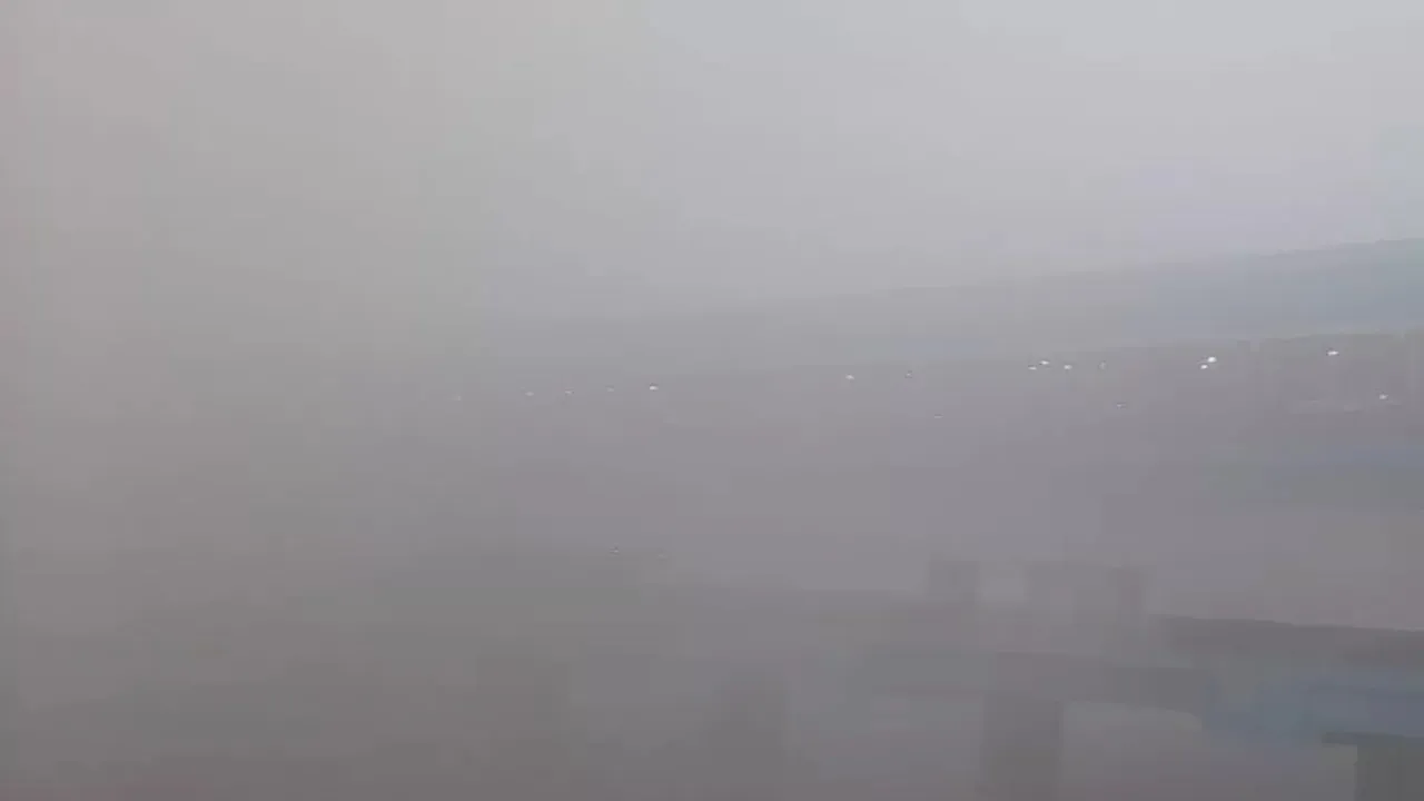 Delhi Airport: घने कोहरे के कारण दिल्ली हवाई अड्डे पर 100 से अधिक उड़ानों के परिचालन में देरी  