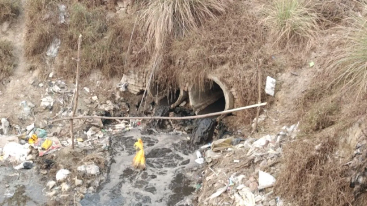 Loan River 2