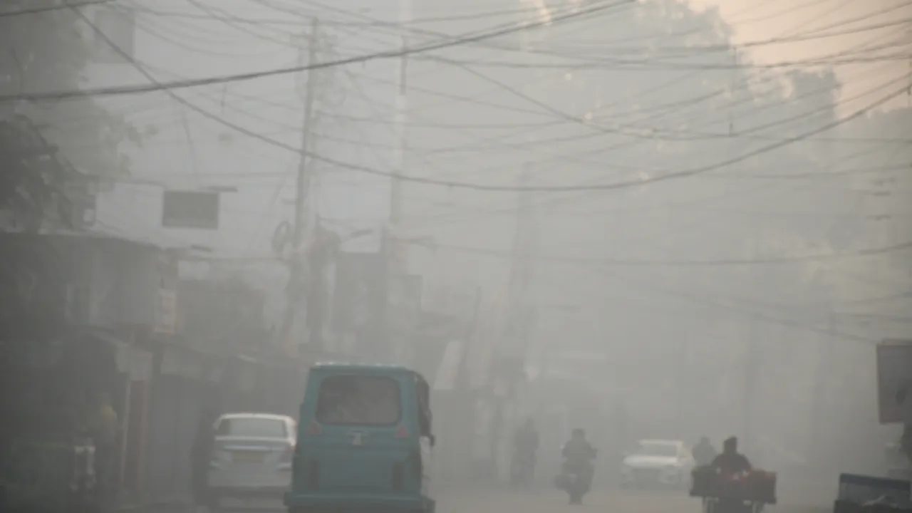 Untitled design (76)