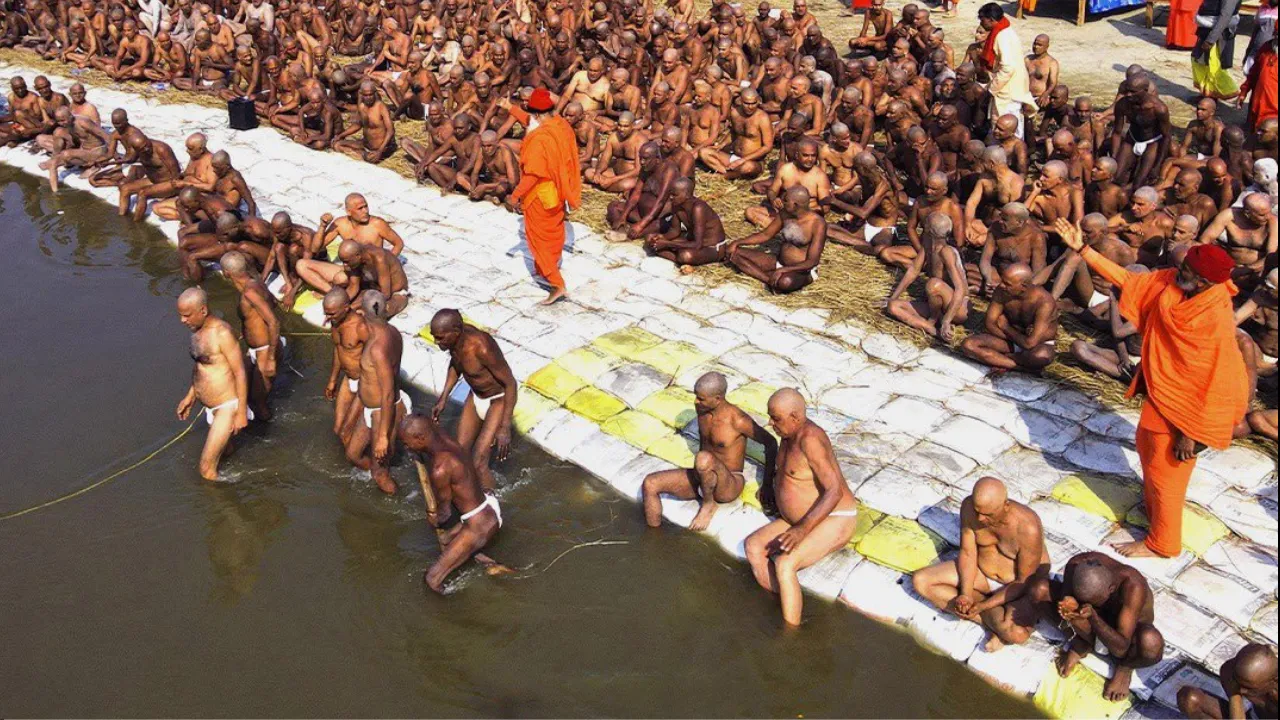 Untitled design (76)