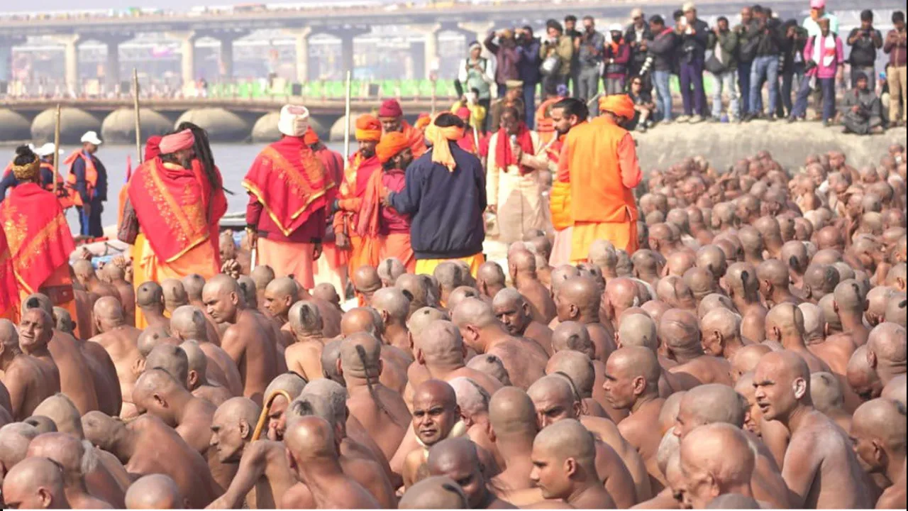 Untitled design (79)