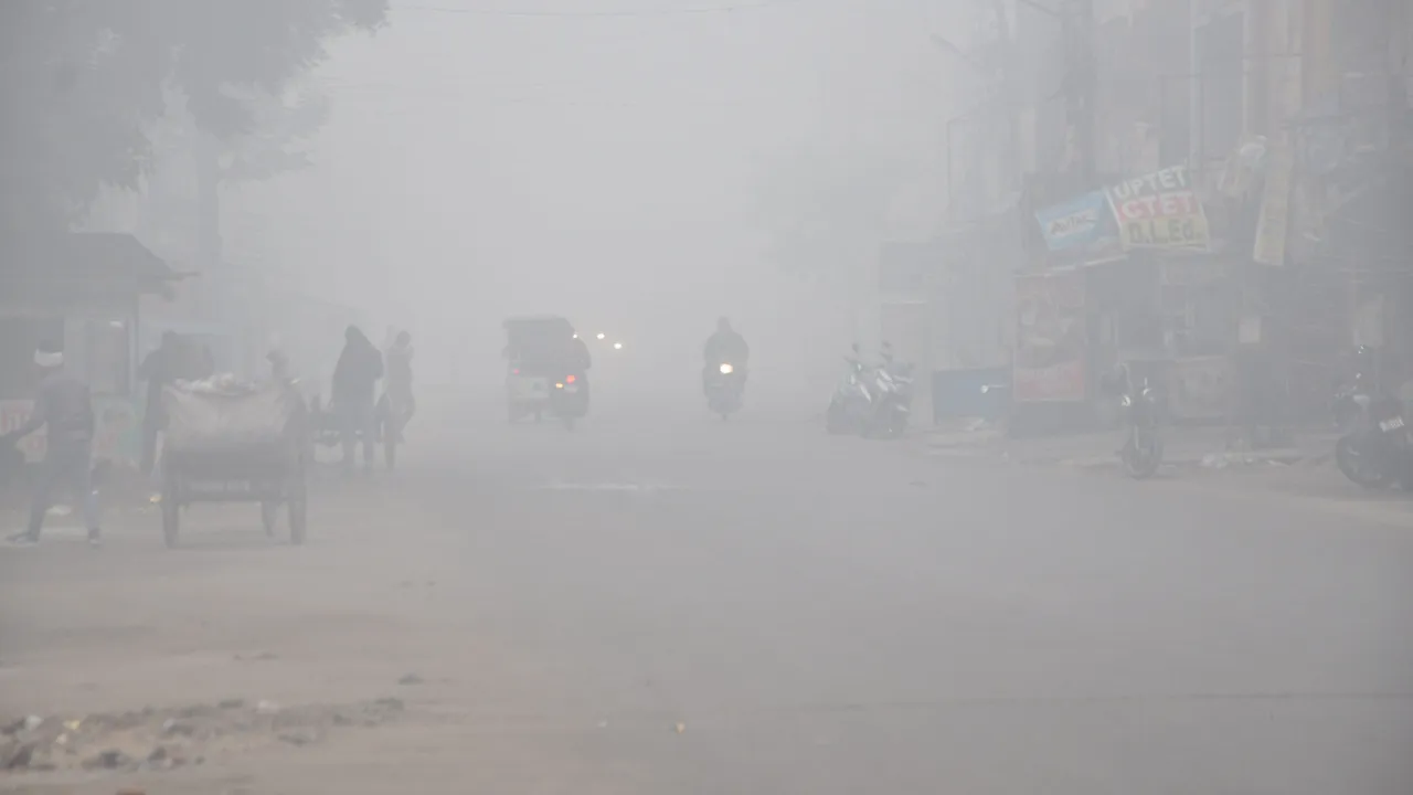 Untitled design (80)