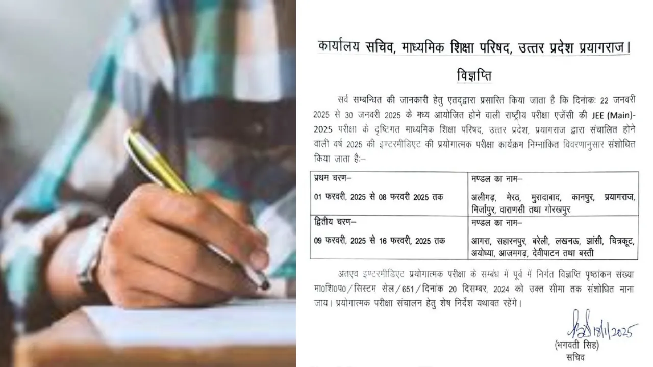 Untitled design (81)