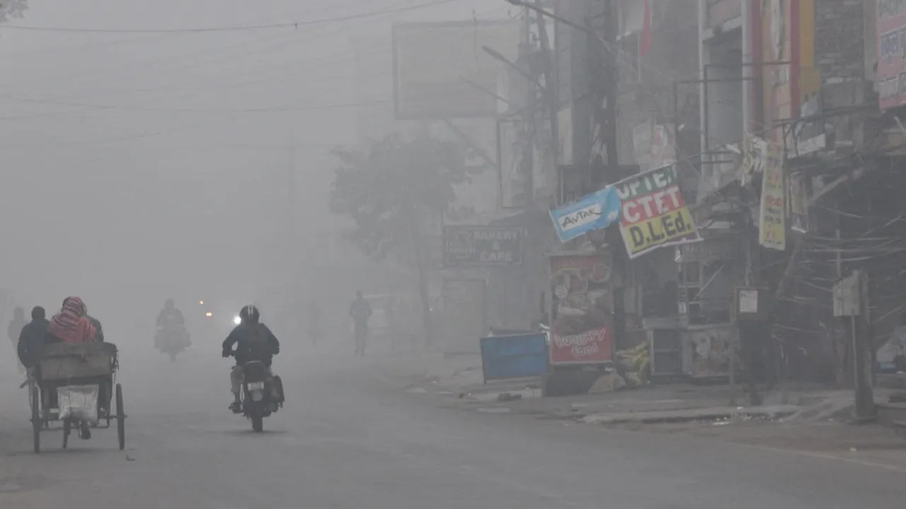 Untitled design - 2025-01-27T104840.792