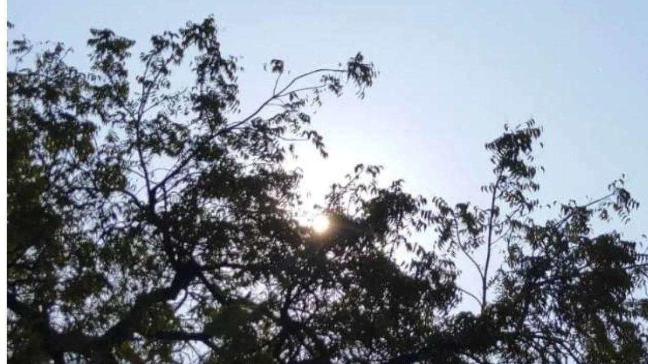 Kanpur Weather: तेज धूप से चढ़ा पारा, दिन में मौसम हुआ सुहाना, मौसम वैज्ञानिक बोले- आने वाले दिनों में ऐसा रहेगा मौसम...