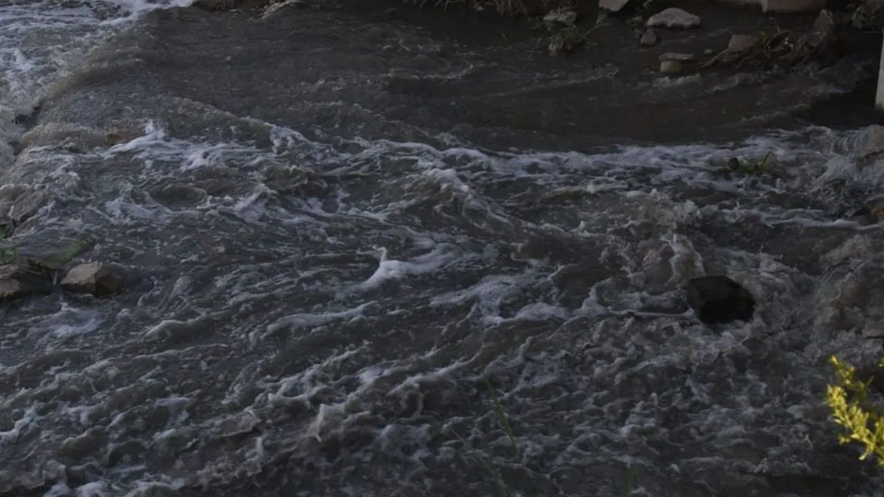 Kanpur में परमिया नाले का निर्माण प्रस्ताव रोका गया, जिलाधिकारी ने कही ये बात...