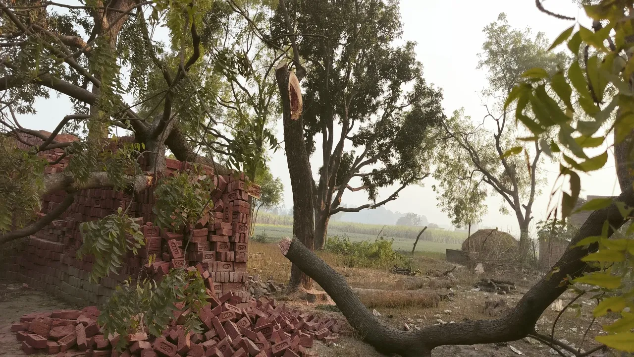 Ayodhya News : पेड़ की डाल गिरने से टूटा विद्युत पोल, मां-बेटे की मौत