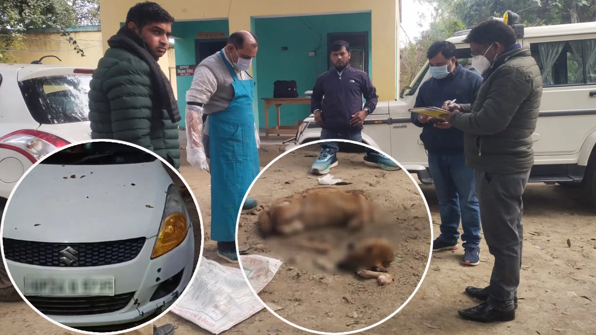 बदायूं: वन दरोगा कर रहा था तस्करी? कार से मिले सियार के टुकड़े...पशु प्रेमी की शिकायत पर हुआ भंडाफोड़ !