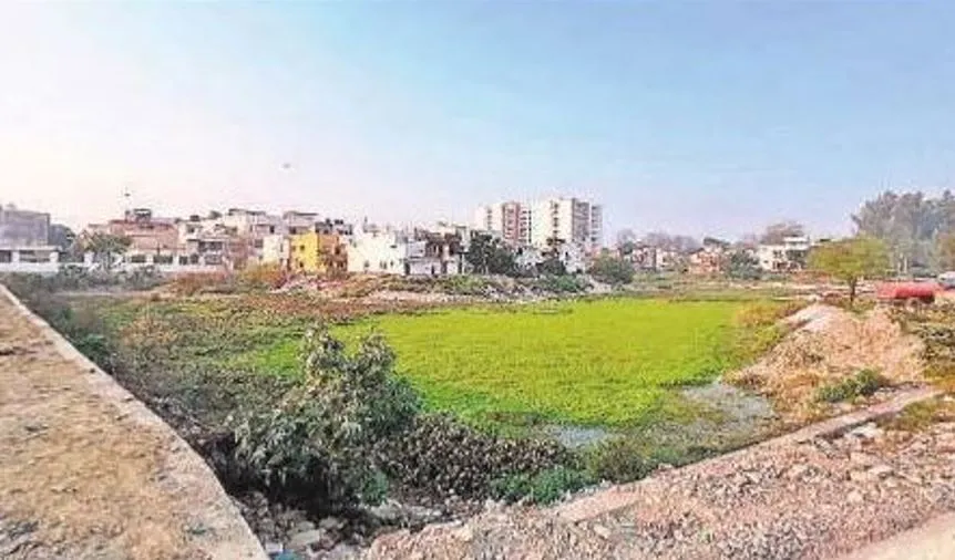 डेलापीर तालाब: अब NGT में लड़ाई लड़ने की तैयारी! वाद दायर करेगी 11 वकीलों की न्यू विजन वेलफेयर सोसाइटी