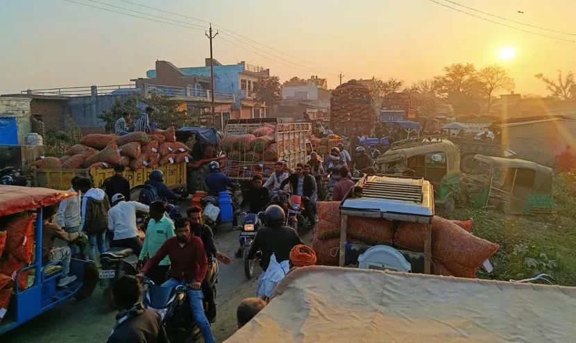 कासगंज: मंडी में मटर की आवक पहुंची चरम पर, यातायात सुचारू बना चुनौती!