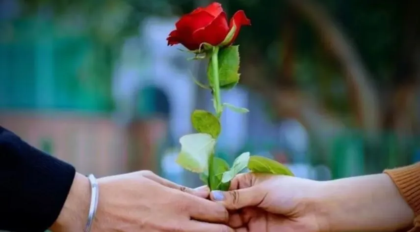 Rose Day: कासगंज में गुलाब देकर प्यार के परिंदों ने किया खुशी का इजहार, शुरू हुआ Valentine's Week