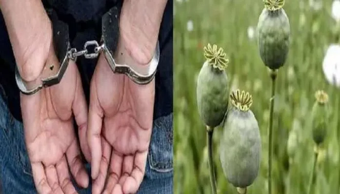 बरेली: पंजाब में अफीम सप्लाई करने वाले दो तस्कर गिरफ्तार