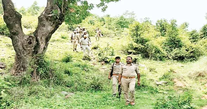 वन दरोगा सरकार का खजाना भरें कि जंगलों की सुरक्षा करें