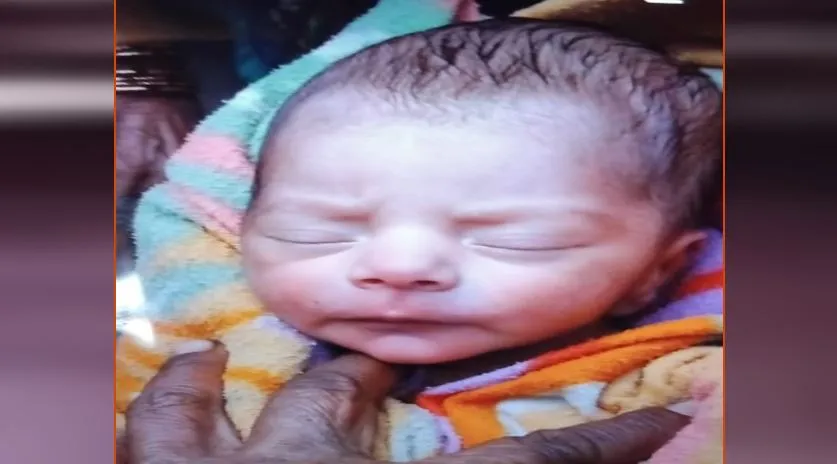 लखीमपुर खीरी: झाड़ियों में रोता मिला नवजात शिशु, मल्लाह ने बचाए प्राण और ले गया घर