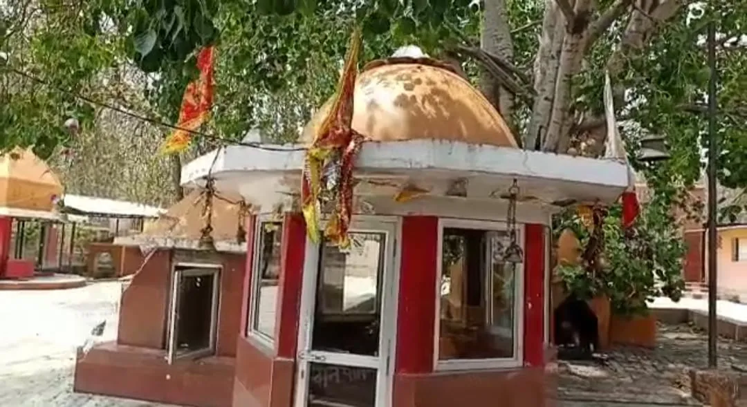 जंगल किनारे आस्था का ज्वार, महादेव की जय-जयकार