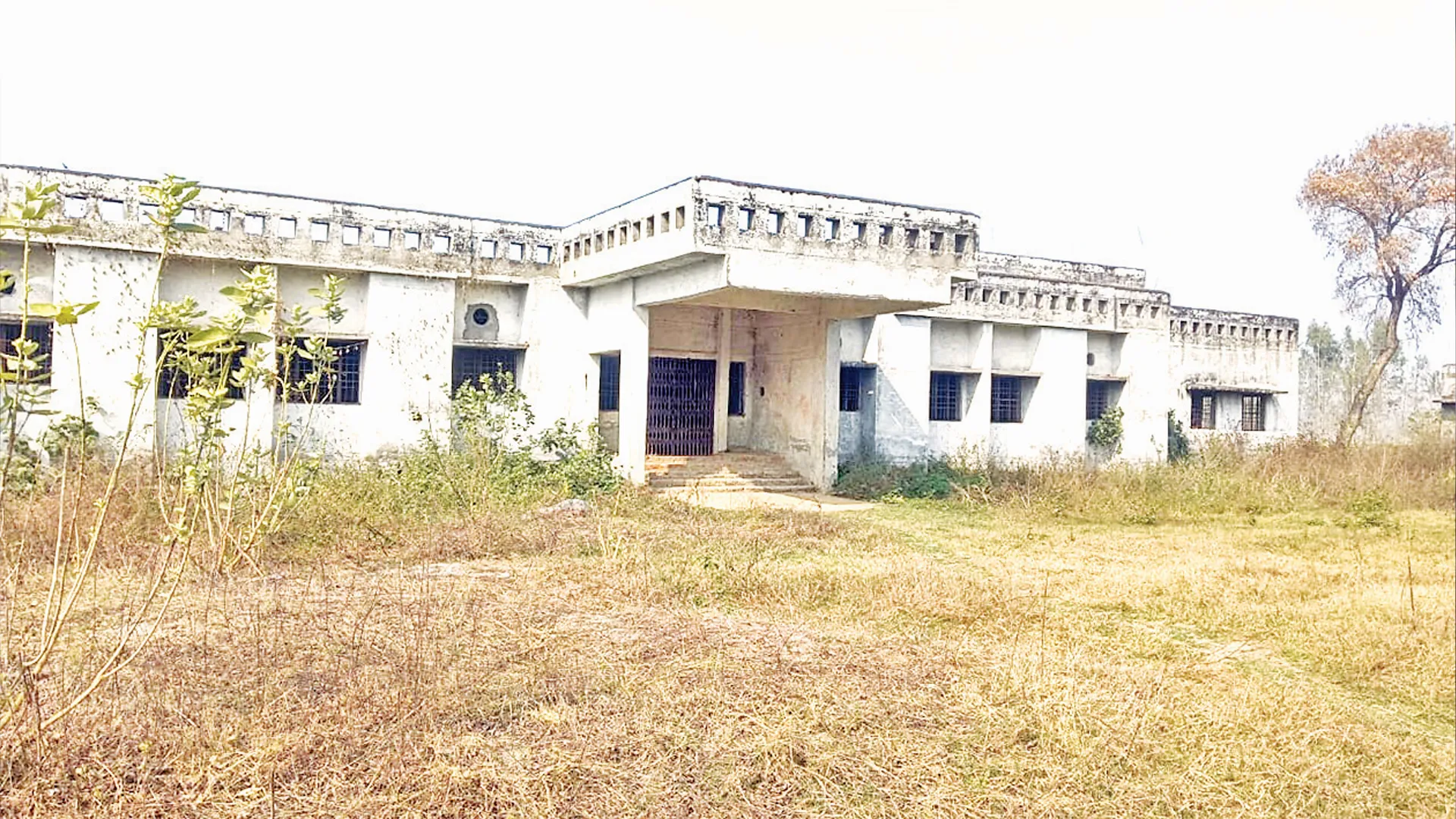 बरेली: दस साल में उग आईं झाड़ियां...तब जाकर आईटीआई के अधूरे भवन निर्माण की ली सुध