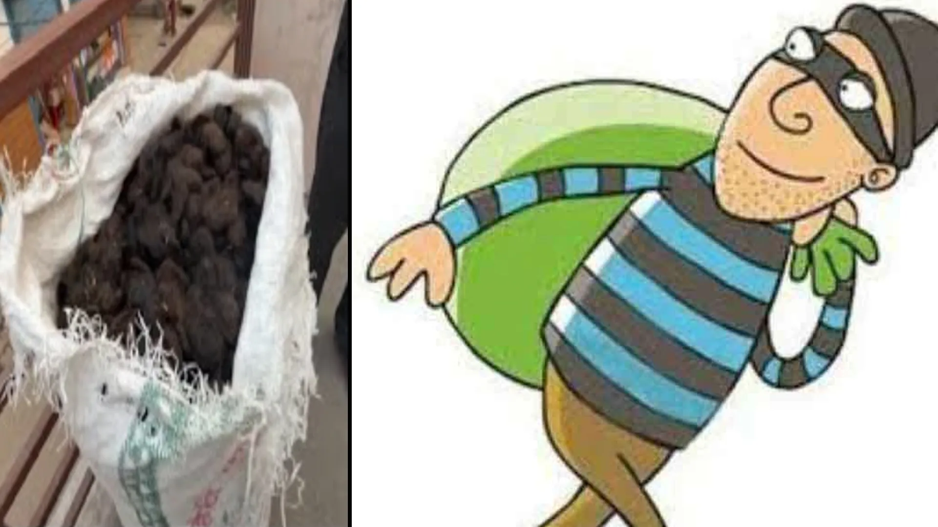 बदायूं : कबाड़ की दुकान के ताले तोड़कर 2.34 लाख के बाल चोरी