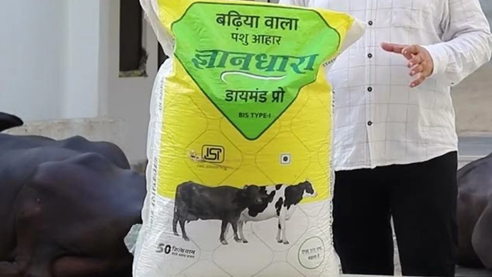 शाहजहांपुर: ज्ञान धारा चारे के जहरीला होने की आशंका, पशुओं को न खिलाने की अपील