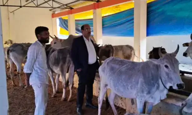 Bareilly: गोशाला में रिकॉर्ड उपलब्ध न मिलने पर भड़के एसडीएम, नोटिस जारी