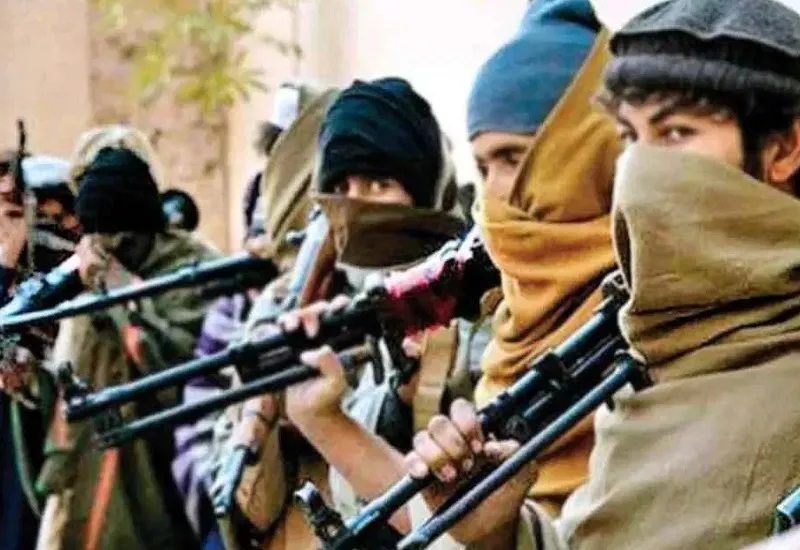 पाकिस्तान के बलूचिस्तान में अज्ञात बंदूकधारियों ने कर दी 7 यात्रियों की हत्या, अभी तक किसी भी समूह ने नहीं ली हमले की जिम्मेदारी 