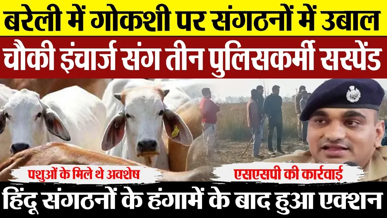 Bareilly News : बरेली में गोकशी पर संगठनों में उबाल, चौकी इंचार्ज संग तीन पुलिसकर्मी सस्पेंड
