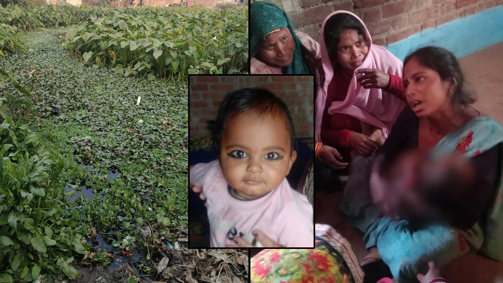 शाहजहांपुर: बिल्ली पीछा करते-करते तालाब में गिरे ढाई साल के मासूम की डूबकर मौत